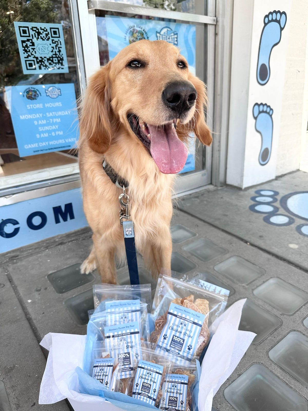 Dehydrated Chicken Dog Treats - Main View - Carolina Deli Pets