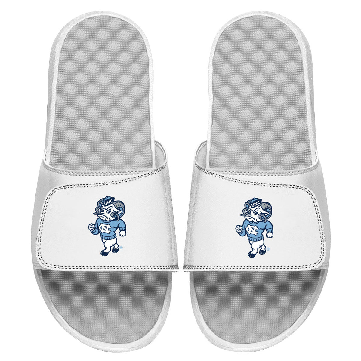 UNC Alternate Mascot Slides