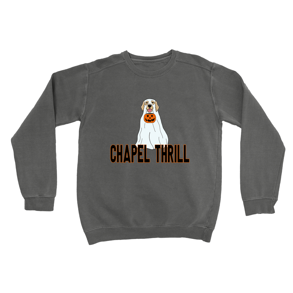 Chapel Thrill Ghost Dog Comfort Colors Adult Sweatshirt