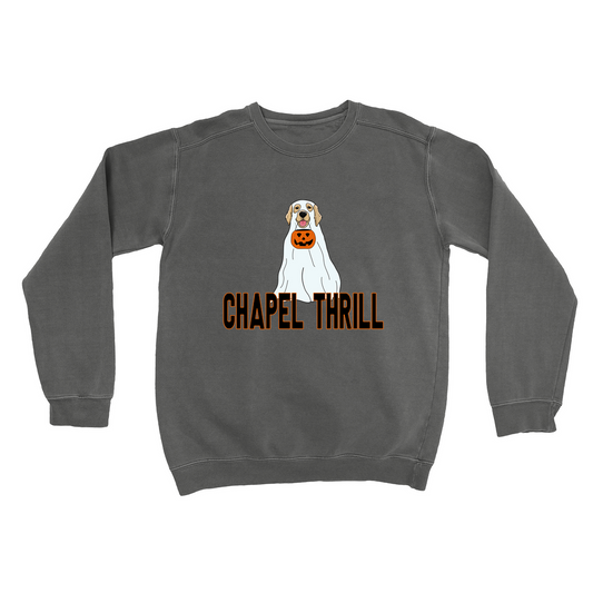 Chapel Thrill Ghost Dog Comfort Colors Adult Sweatshirt