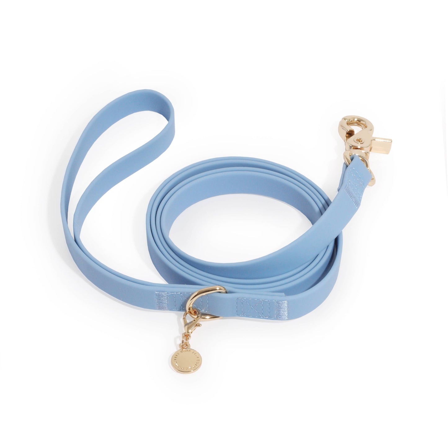 6 Ft Malibu Blue Dog Leash