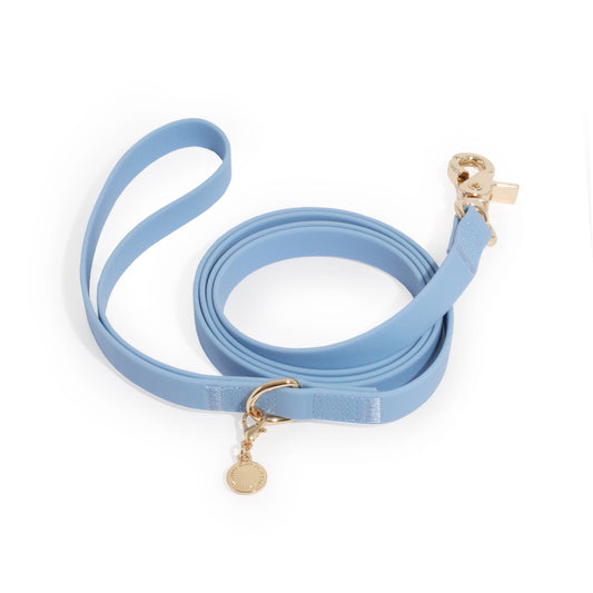 6 Ft Malibu Blue Dog Leash