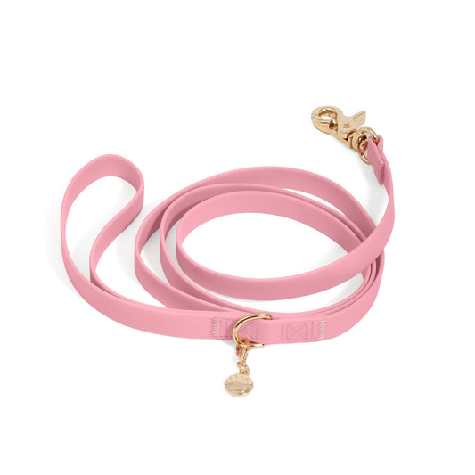 6 Ft Perfect Pink Dog Leash