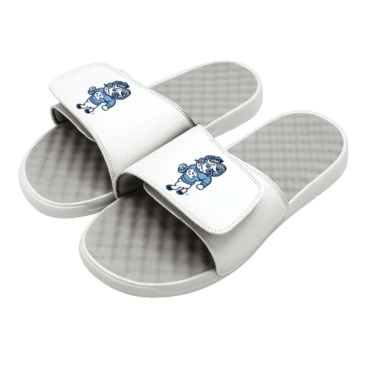 UNC Alternate Mascot Slides