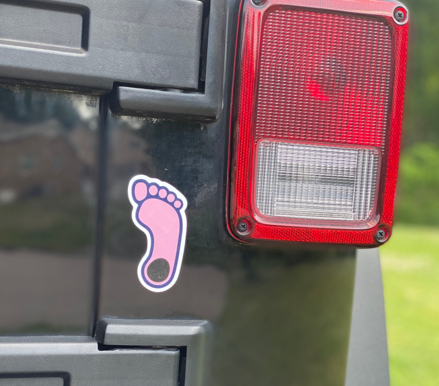 Pink Tar Heel Foot Magnet