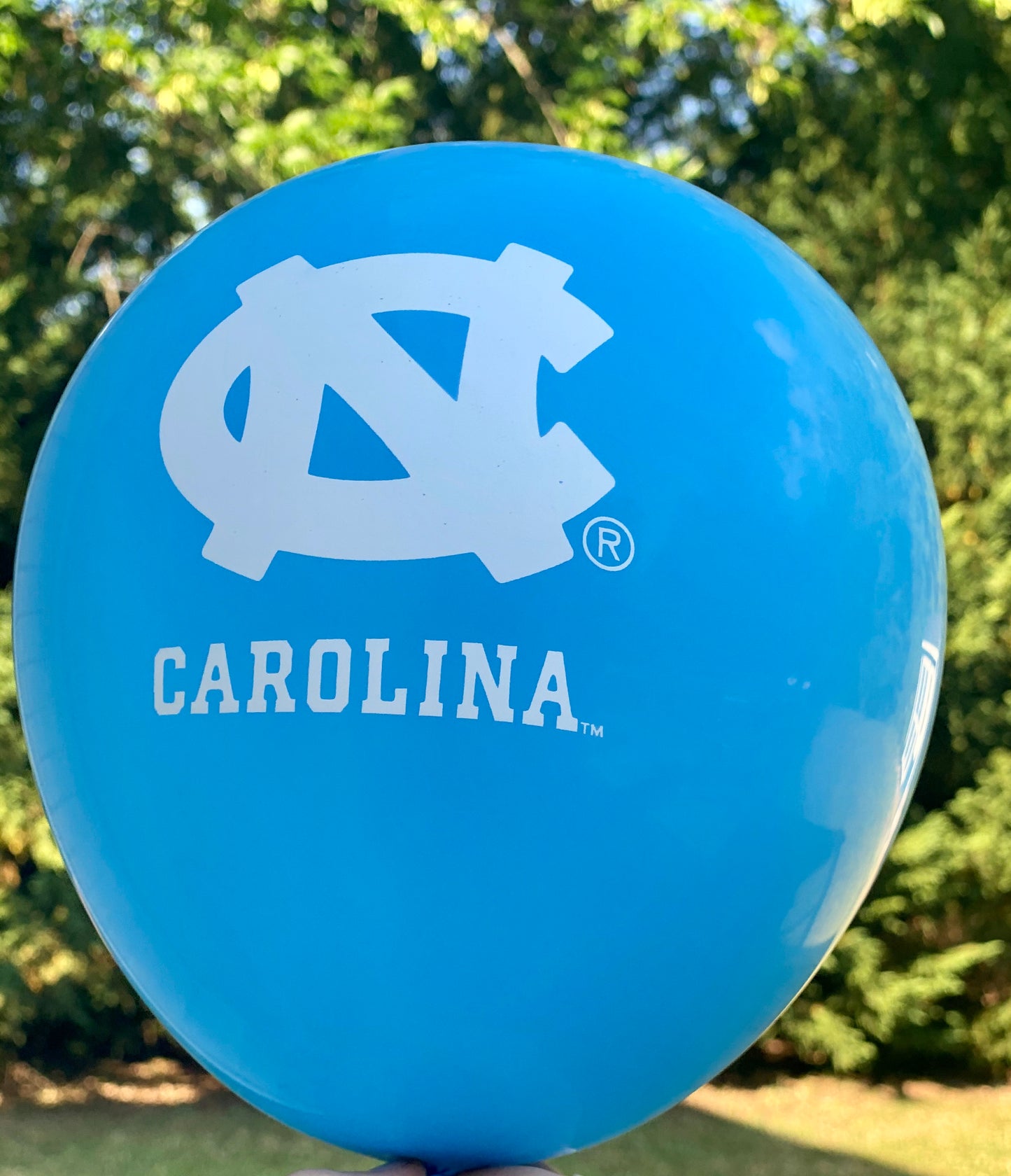 North Carolina Tar Heels Mayflower 11 Inch UNC Balloon (10 ct)