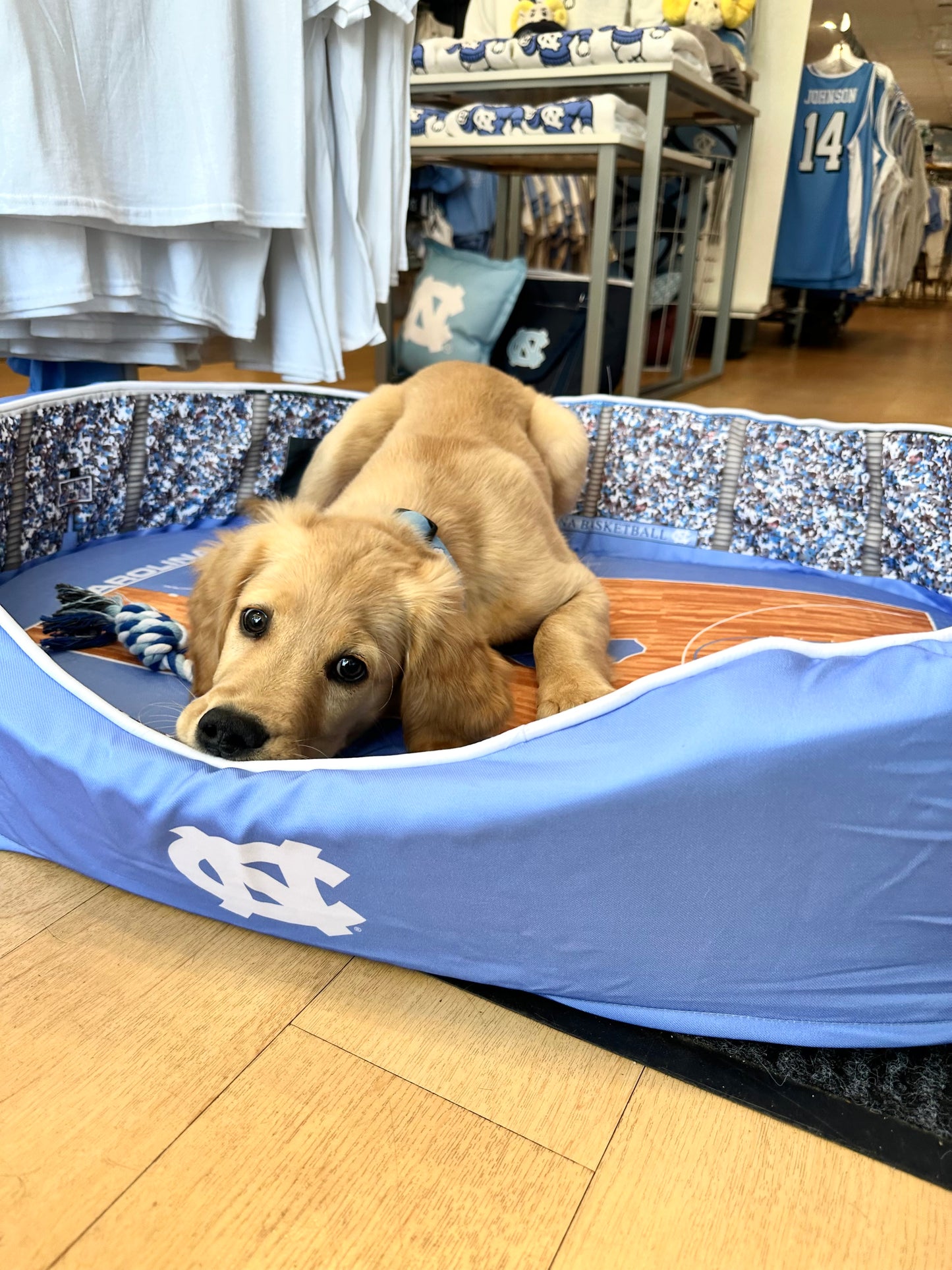 UNC Basketball Dog Bed Dean Dome Pet Bed