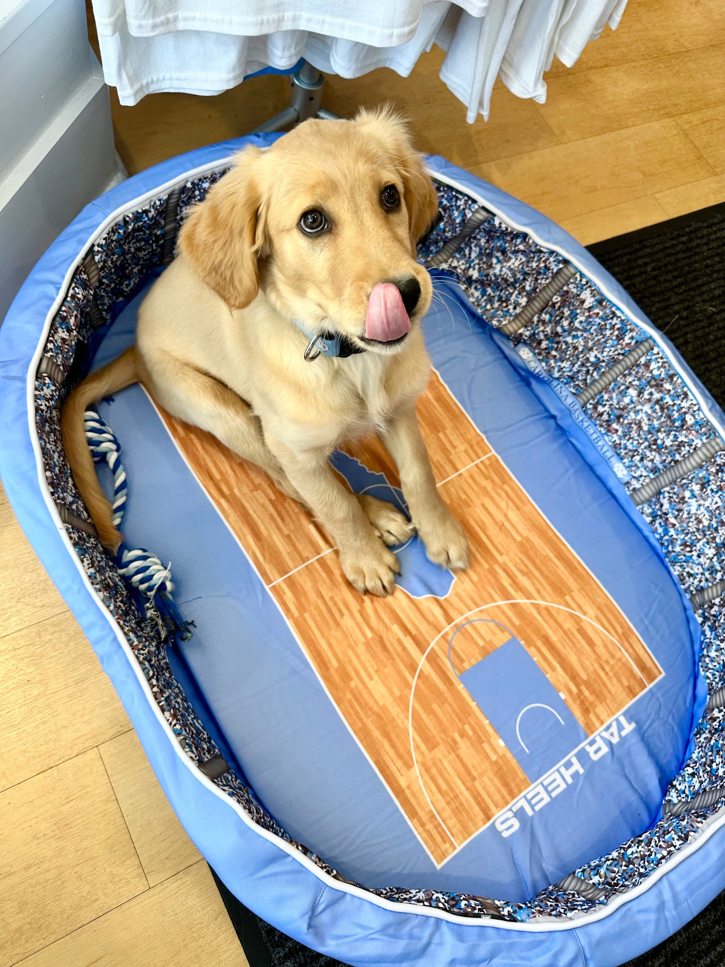 UNC Basketball Dog Bed Dean Dome Pet Bed