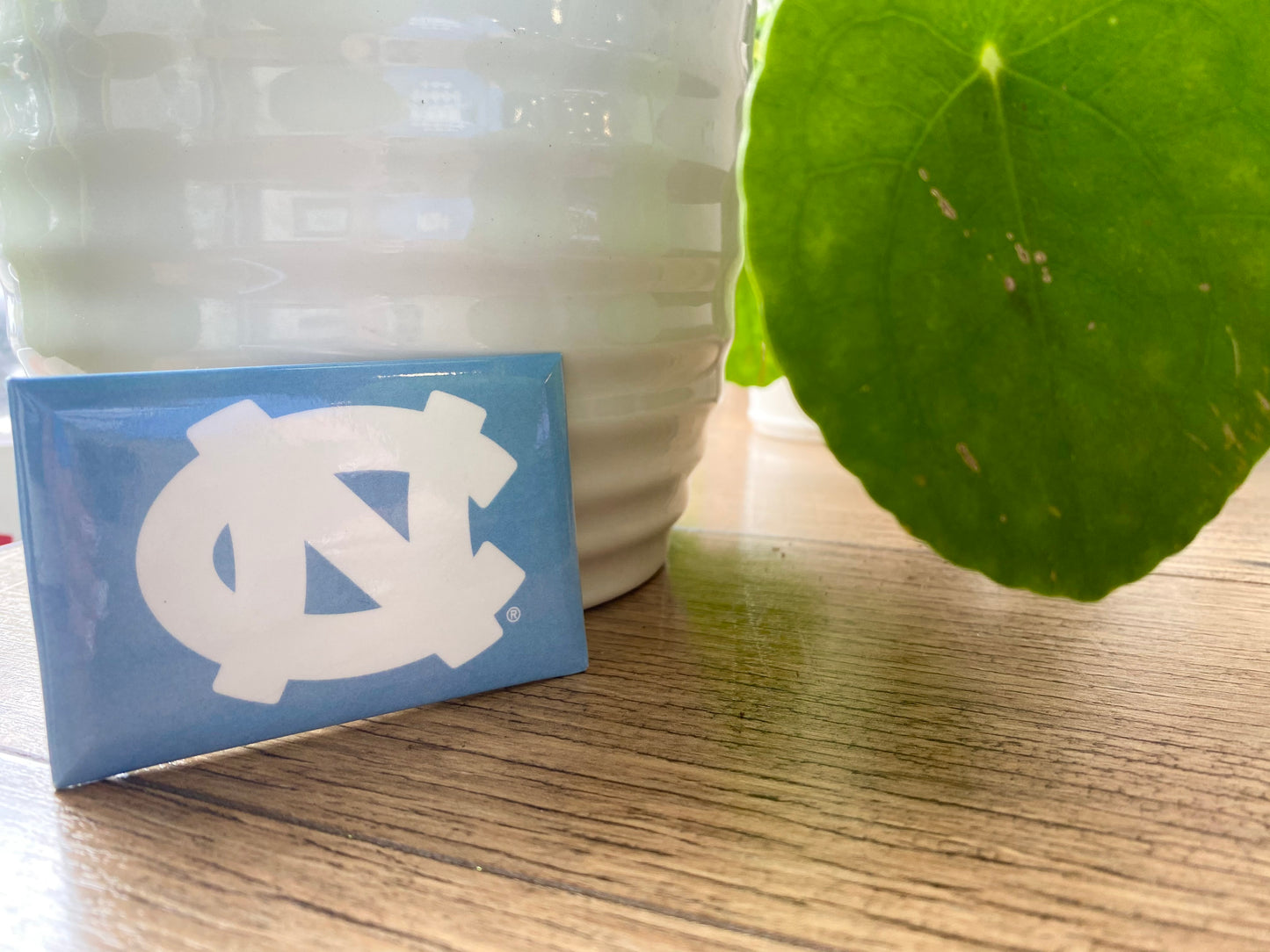 Carolina Tar Heels Rectangle Magnets - Set of 2