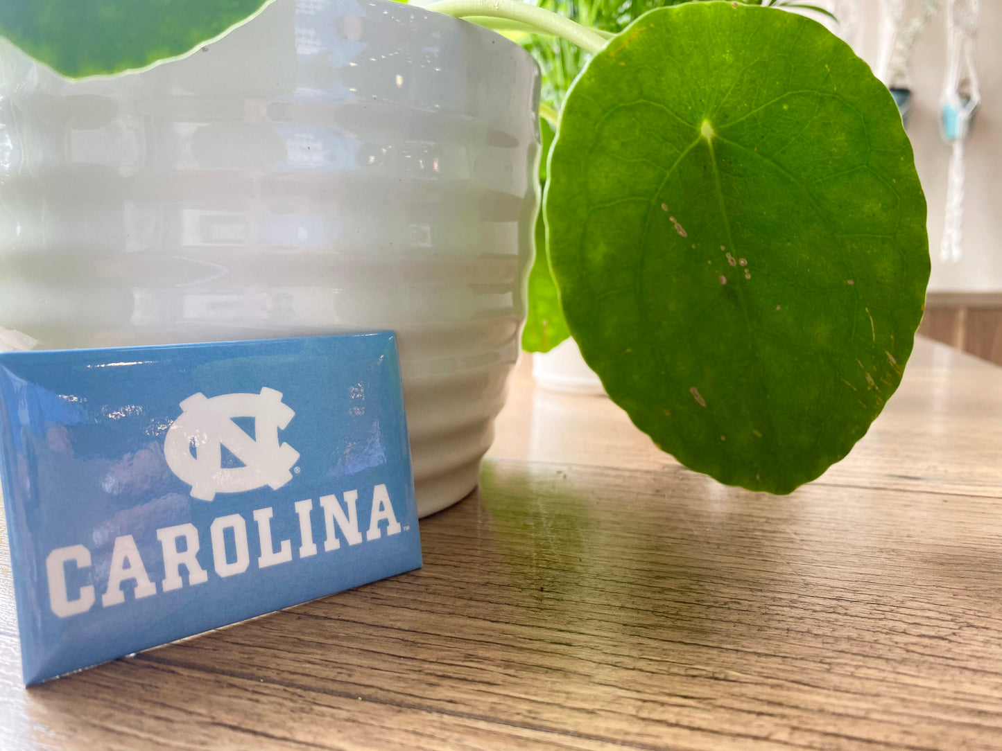 Carolina Tar Heels Rectangle Magnets - Set of 2