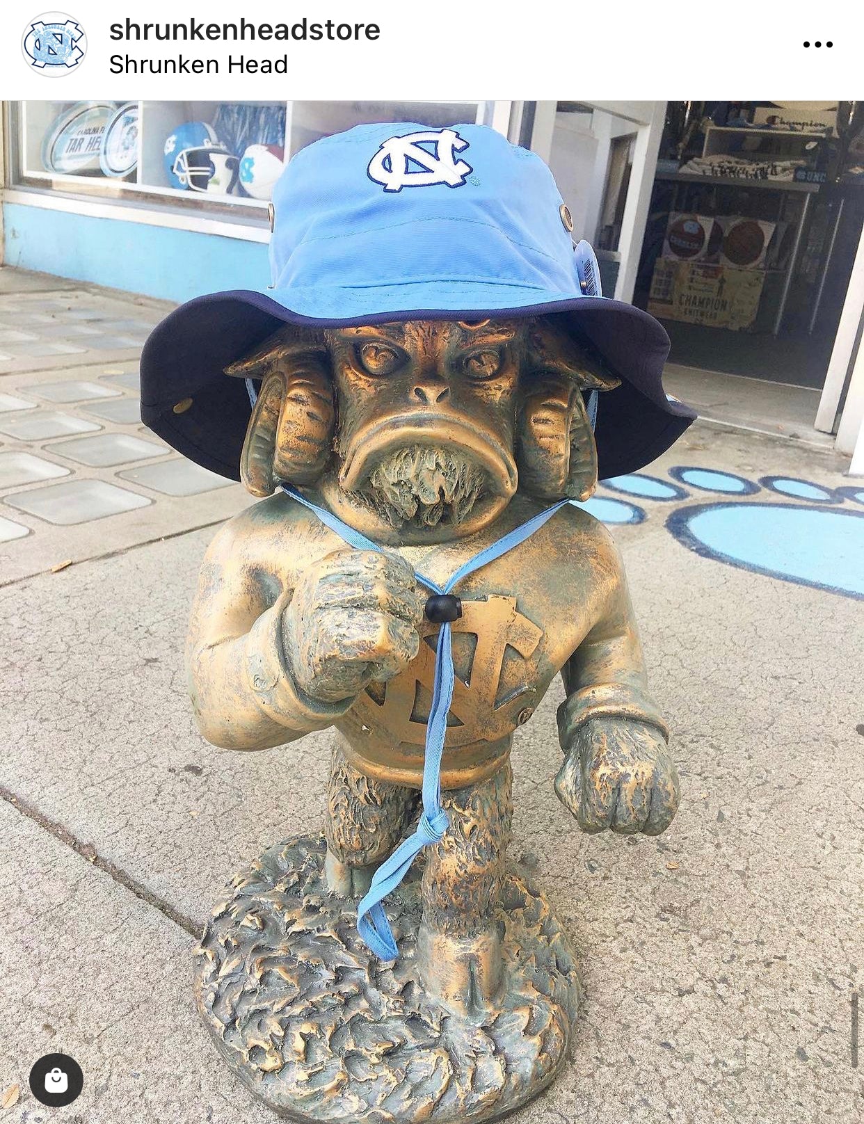 UNC Mascot Bronze Rameses Garden Statue